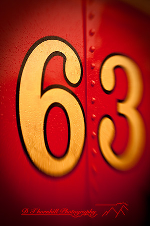 owosso_train-fest-2009_21.jpg