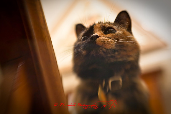 jj-ra_035.jpg