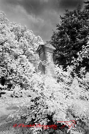infrared-2008_054
