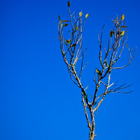 florida-2012-nature_13