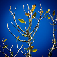 florida-2012-nature_14
