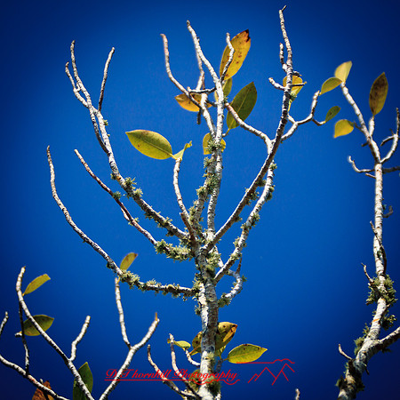 florida-2012-nature_14