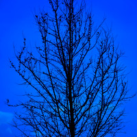 florida-2012-nature_15