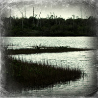florida-2012-nature_20-nas