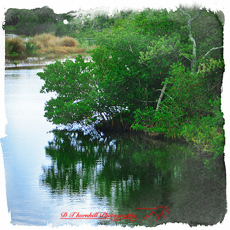 florida-2012-nature_22-nas