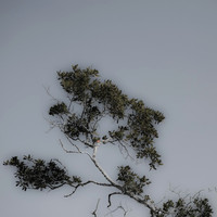 florida-2012-nature_06