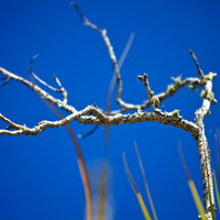 florida-2012-nature_10