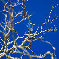 florida-2012-nature_12