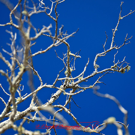florida-2012-nature_12