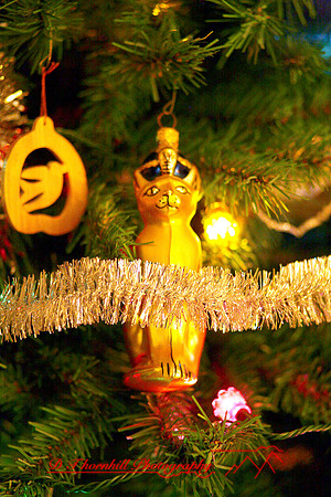 assorted-images-2006_67