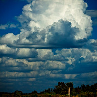 florida-2012-nature_17