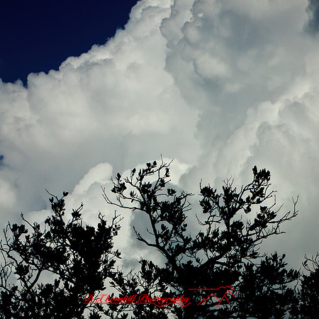 florida-2012-nature_24