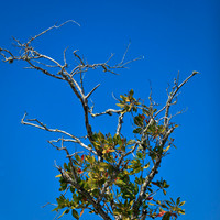 florida-2012-nature_03