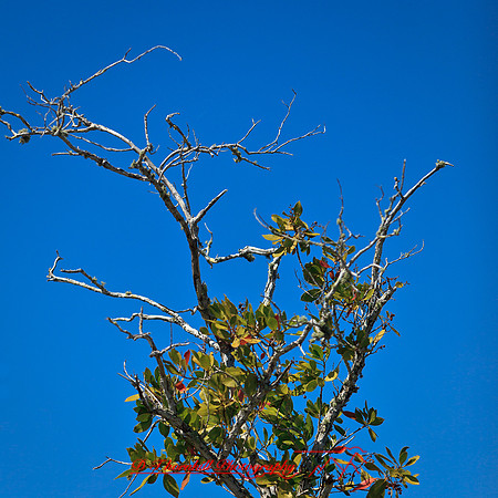 florida-2012-nature_03