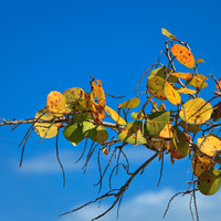 florida-2012-nature_04