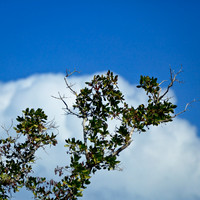 florida-2012-nature_07