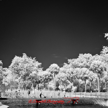 florida-2012-infrared-people_10