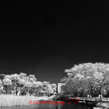 florida-2012-infrared-people_14