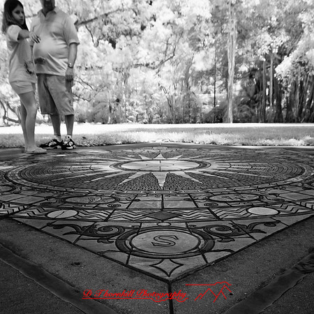 florida-2012-infrared-people_15