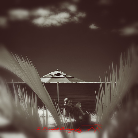florida-2012-infrared-people_16-nas