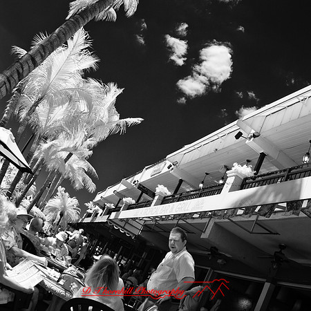 florida-2012-infrared-people_01