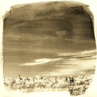 florida-2012-infrared-nature_10-nas