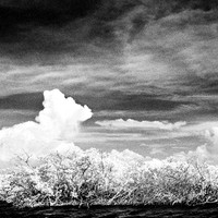 florida-2012-infrared-nature_19-nas