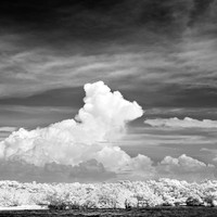 Infrared - Nature