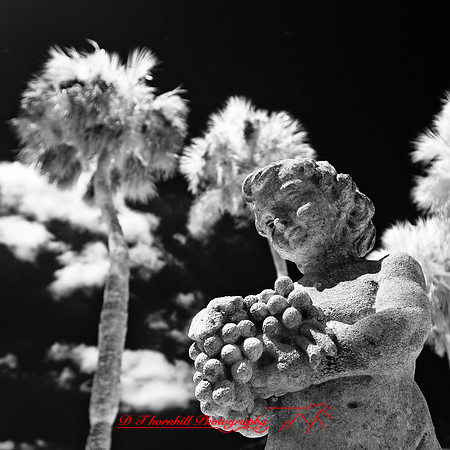 florida-2012-infrared-images_56