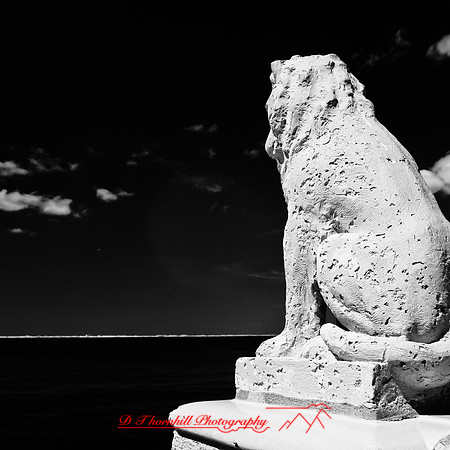 florida-2012-infrared-images_57