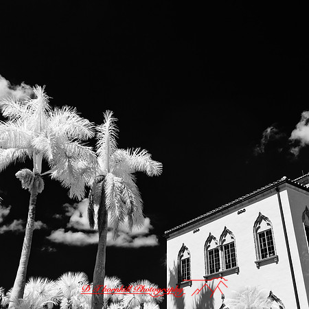 florida-2012-infrared-images_59