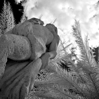 florida-2012-infrared-images_01