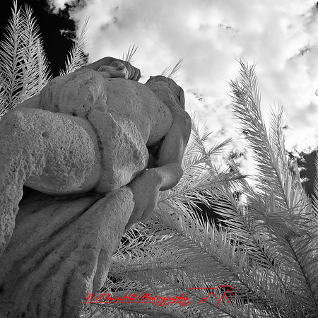 florida-2012-infrared-images_01
