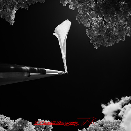 florida-2012-infrared-images_02