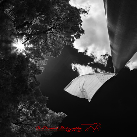 florida-2012-infrared-images_03