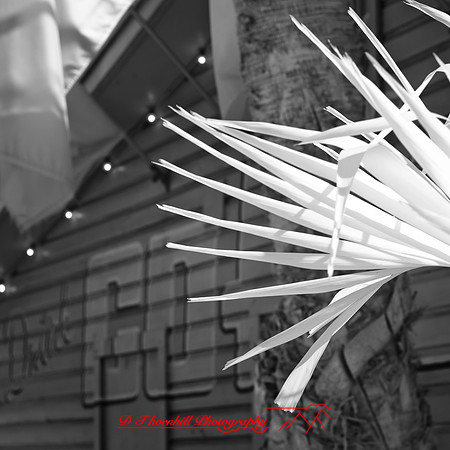 florida-2012-infrared-images_05