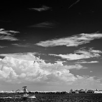 florida-2012-infrared-images_08