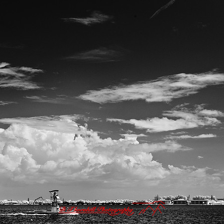 florida-2012-infrared-images_08