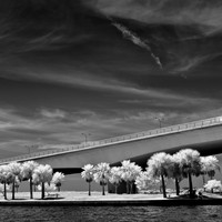 florida-2012-infrared-images_12