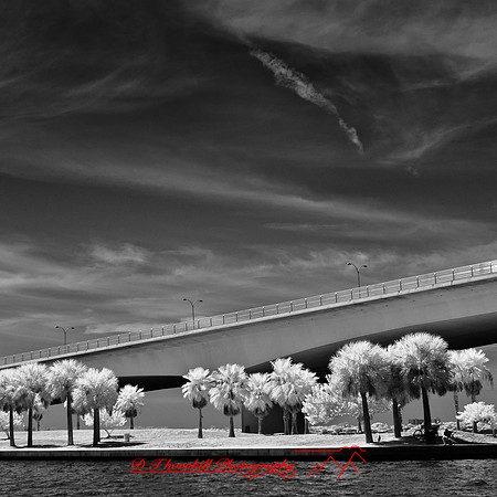 florida-2012-infrared-images_12