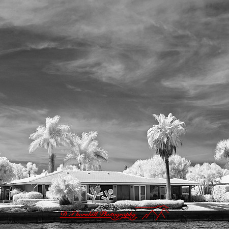 florida-2012-infrared-images_16