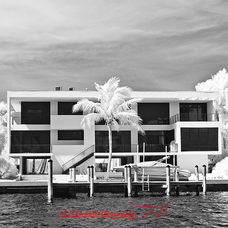 florida-2012-infrared-images_20