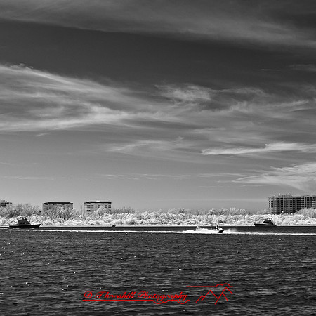 florida-2012-infrared-images_22