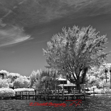 florida-2012-infrared-images_23