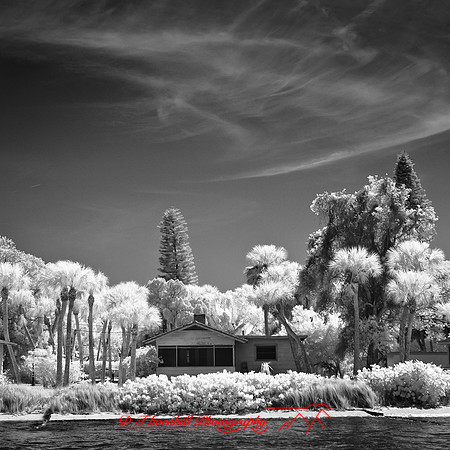 florida-2012-infrared-images_24