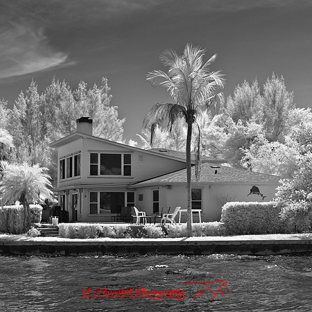 florida-2012-infrared-images_25