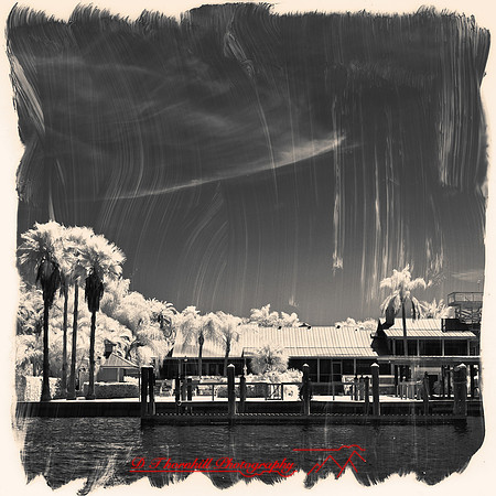 florida-2012-infrared-images_27-nas