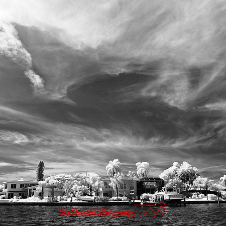florida-2012-infrared-images_33