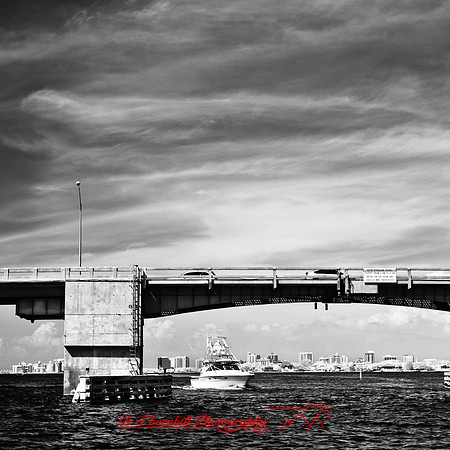 florida-2012-infrared-images_37