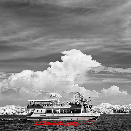 florida-2012-infrared-images_38